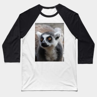 Ring Tailed Lemur Baseball T-Shirt